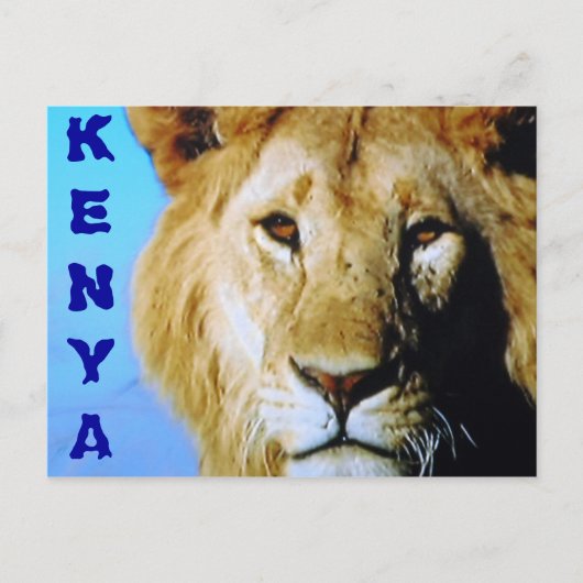 Kenya safari briefkaart (Voorkant)