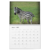 Kenya Safari Kalender (Mar 2027)