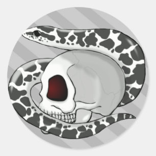 Kényan Sand Boa (Anery) Gris autocollant rayure