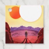 Kepler Ruimtereis Bestemming Planeet Avontuur Bedankjes Labels (Voorkant)