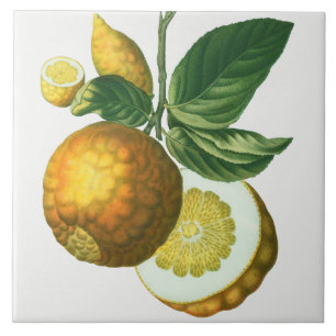  keramisch keramisch keramisch flesje tegeltje