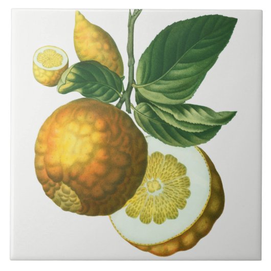  keramisch keramisch keramisch flesje tegeltje (Voorkant)