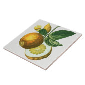  keramisch keramisch keramisch flesje tegeltje (Zijkant)