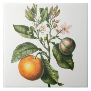 keramisch keramisch keramisch flesje tegeltje