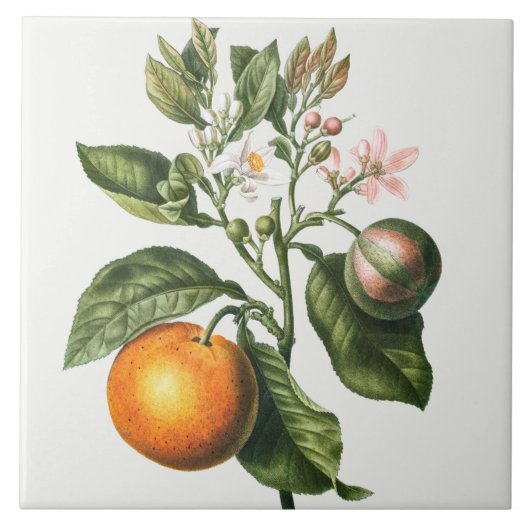 keramisch keramisch keramisch flesje tegeltje (Voorkant)