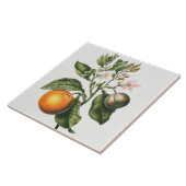 keramisch keramisch keramisch flesje tegeltje (Zijkant)