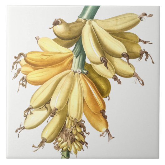  keramisch keramisch keramisch flesje tegeltje (Voorkant)