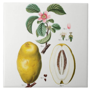  keramisch keramisch materiaal tegeltje