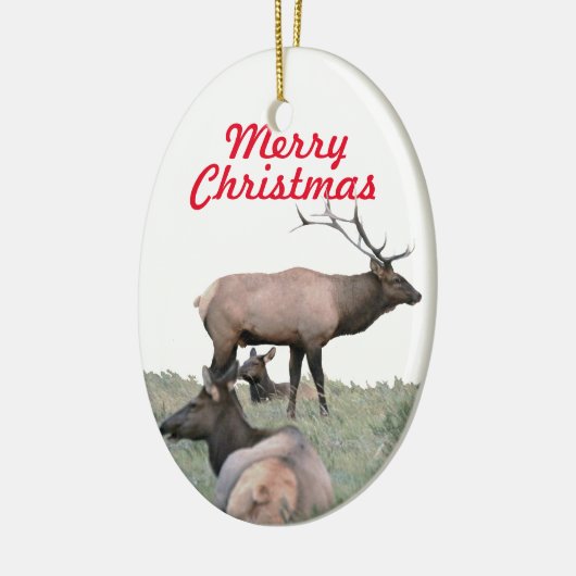 Keramisch ornament van elk (Links)