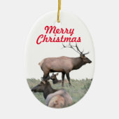 Keramisch ornament van elk (Voorkant)