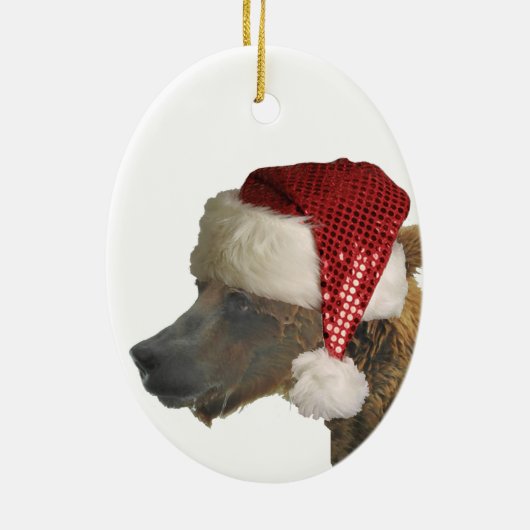 Keramisch siermiddel met grizzly-beren keramisch ornament (Achterkant)