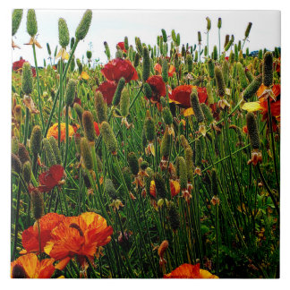 Keramische keramische tegels: Bloervelden, Carlsba Tegeltje