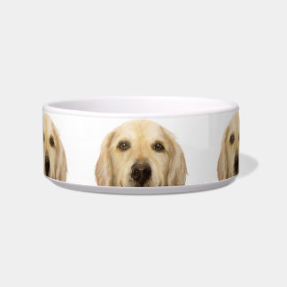 Keramische Pet Bowl/ gouden rugleuning Voerbakje