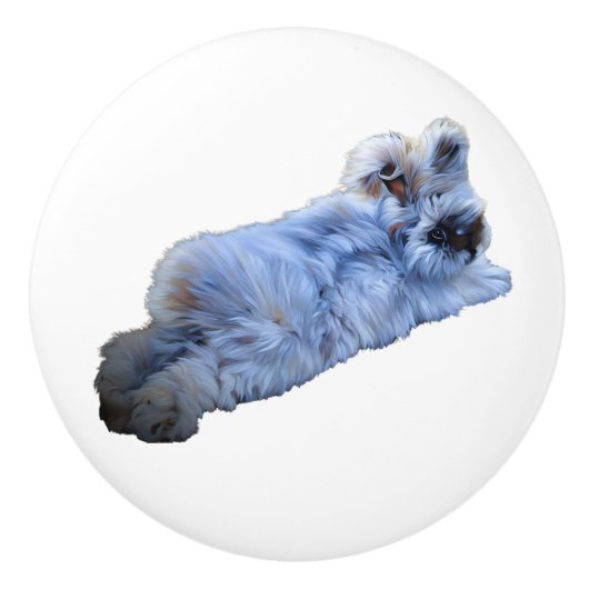 Keramische romp knop (Voorkant)