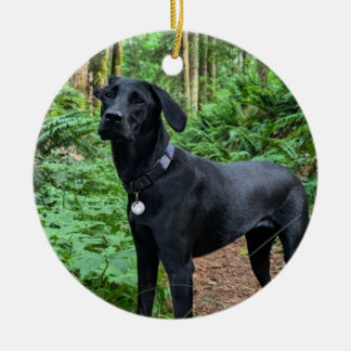 keramische siervoorwerpen keramisch ornament