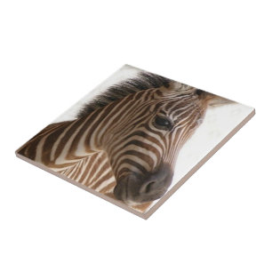 Keramische tegel bruine zebra streep tegeltje
