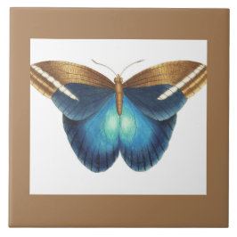 Keramische tegel met vlinder tegeltje