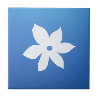 Keramische tegel tegeltje