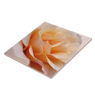 Keramische tegel tegeltje