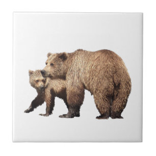 Keramische tegel van grizzly beer & cub tegeltje