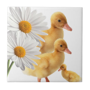 Keramische Tegel White Daisy Floral Tegeltje