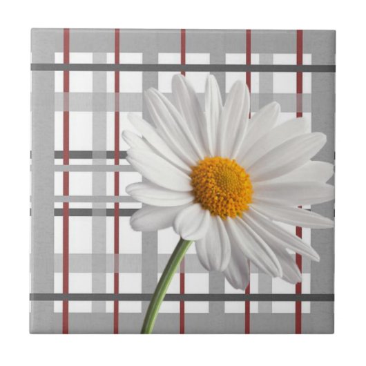 Keramische Tegel White Daisy Floral Tegeltje (Voorkant)