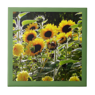 Keramische tegels kunnen worden gebruikt als onder tegeltje