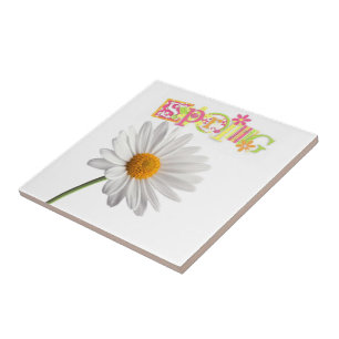 Keramische tegels White Daisy Floral Spring Tegeltje