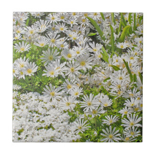 KERAMISCHE TIEL/TRIVET MET WITTE SHASTA-DAISIES TEGELTJE
