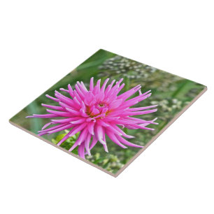 KERAMISCHE TIL/PINK DAHLIA TEGELTJE