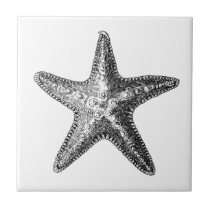 KERAMISCHE TITEL "STARFISH" TEGELTJE
