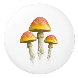 Keramische trekker voor paddestoel trio (kleur) knop