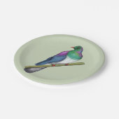 Kereru Houtduif Papieren Bordje (Gekanteld)