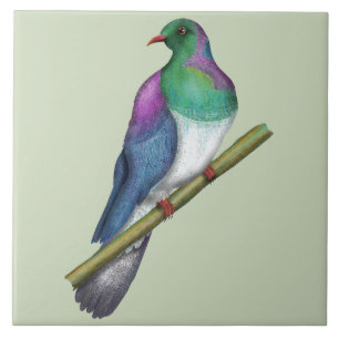 Kereru Houtduif Tegeltje