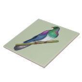 Kereru Houtduif Tegeltje (Zijkant)