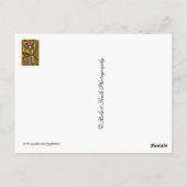 Kerk Briefkaart (Achterkant)