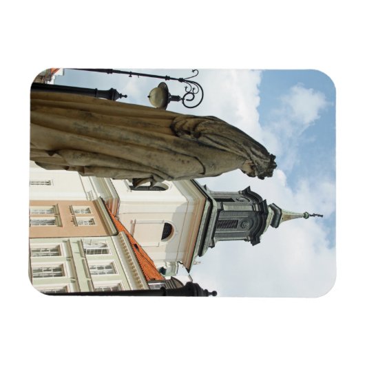 Kerk en standbeeld van Warschau, Polen Magneet (Horizontaal)