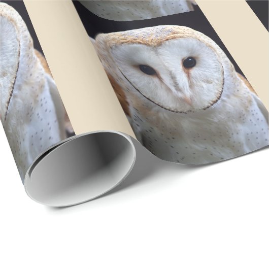 Kerkuil Inpakpapier (Rol Hoek)