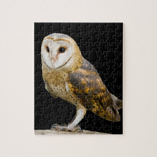 Kerkuil Legpuzzel (Verticaal)