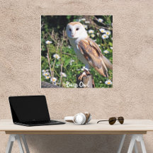 Kerkuil Wit Gezicht Opgespannen Canvasprint