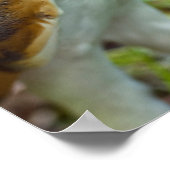 Kerkuilposter Poster (Hoek)