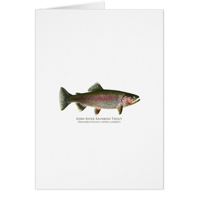 Kern River Rainbow Trout (Voorkant)