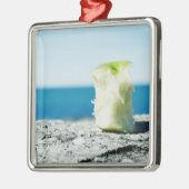 Kern van Apple in de vuil Metalen Ornament (Links)