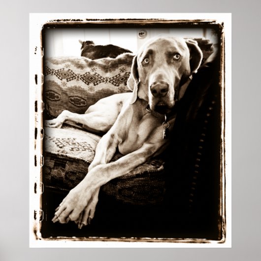 Kernasiel: voorzitter Ballou Poster (Voorkant)