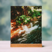 Kerosene Creek, Rotorua, Nouvelle-Zélande (Neutre)