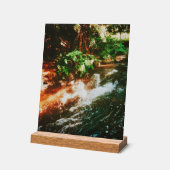 Kerosene Creek, Rotorua, Nouvelle-Zélande (Angle)