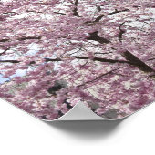 Kerriebomen in bloesems poster (Hoek)