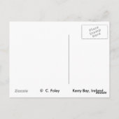 Kerry Bay, Ierland Briefkaarten (Achterkant)