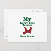 Kerry Blue Terrier Briefkaart (Voorkant / Achterkant)