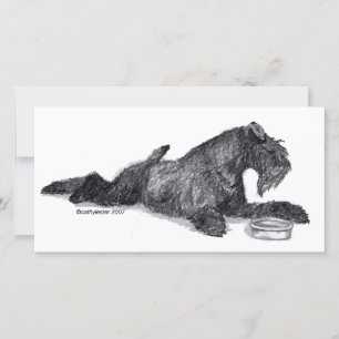 Kerry Blue Terrier met Kom